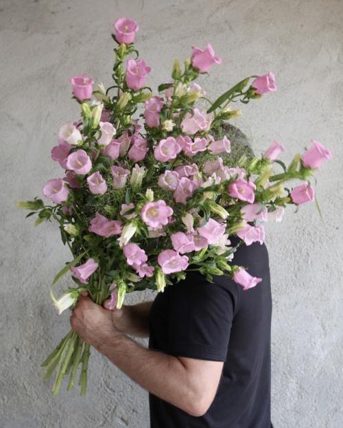 Buchet Roz salbatic