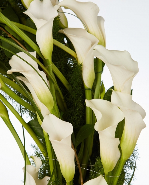 Funeral crown with white calas