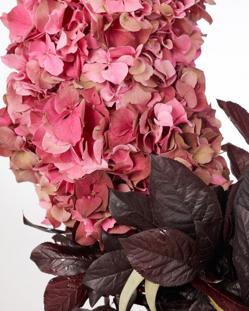 Funeral crown with hydrangea and dianthus