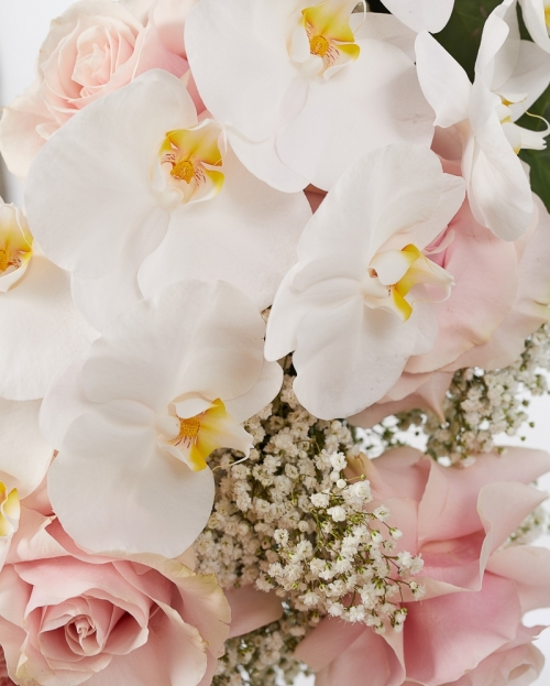 Funeral crown with roses and phalaenopsis