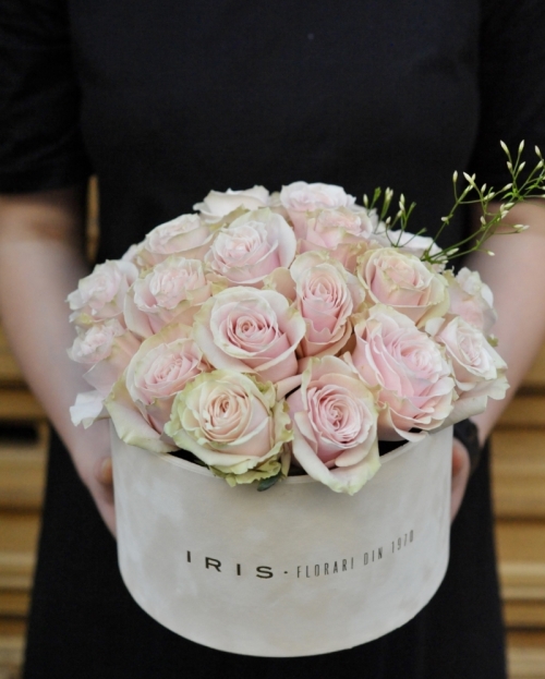 Box with 23 pink roses