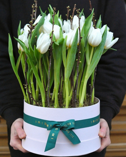 Box with 27 white tulips