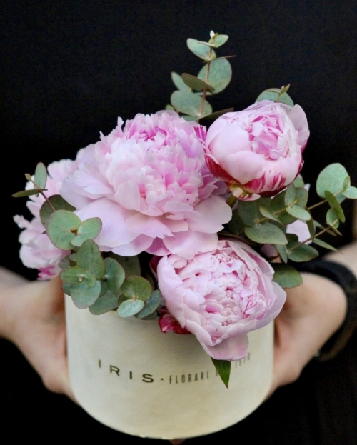 Box with 5 pink peonies 