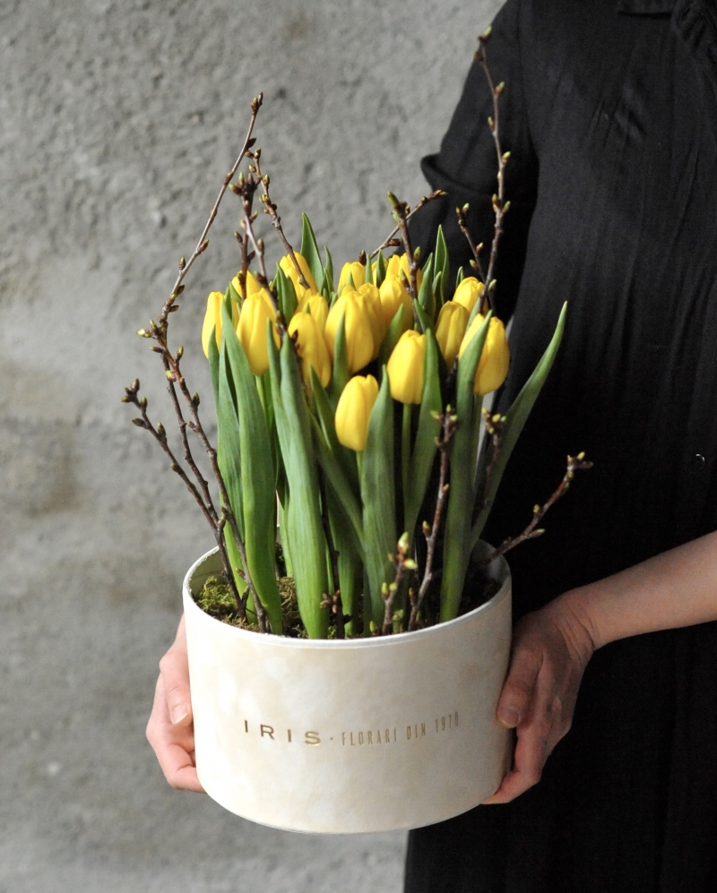 Aranjament 19 lalele galbene