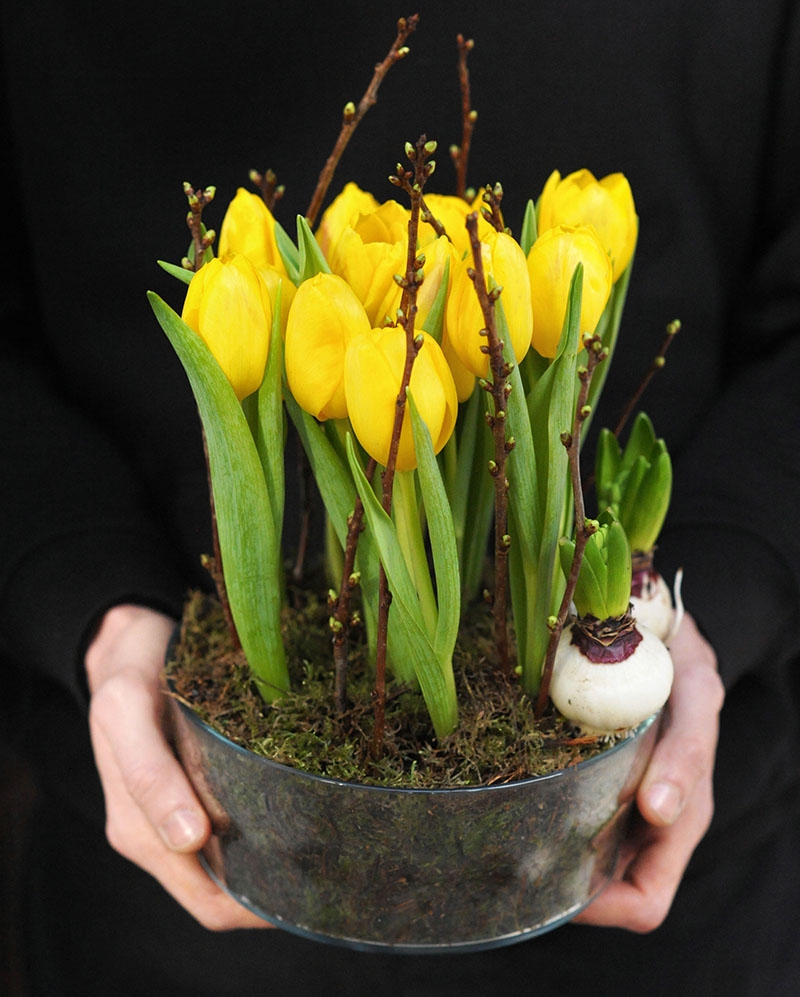 Flower arrangements with 15 yellow tulips and hyacinth bulbs