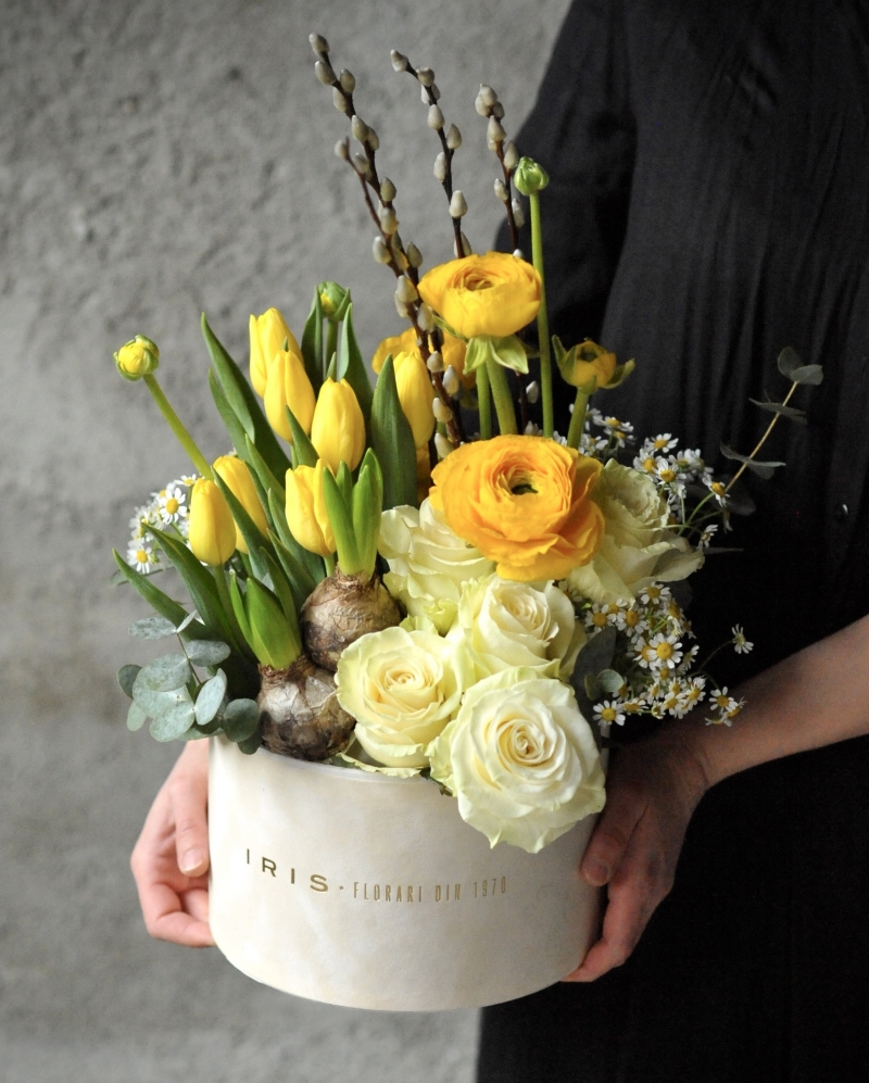 Aranjament Soare bland