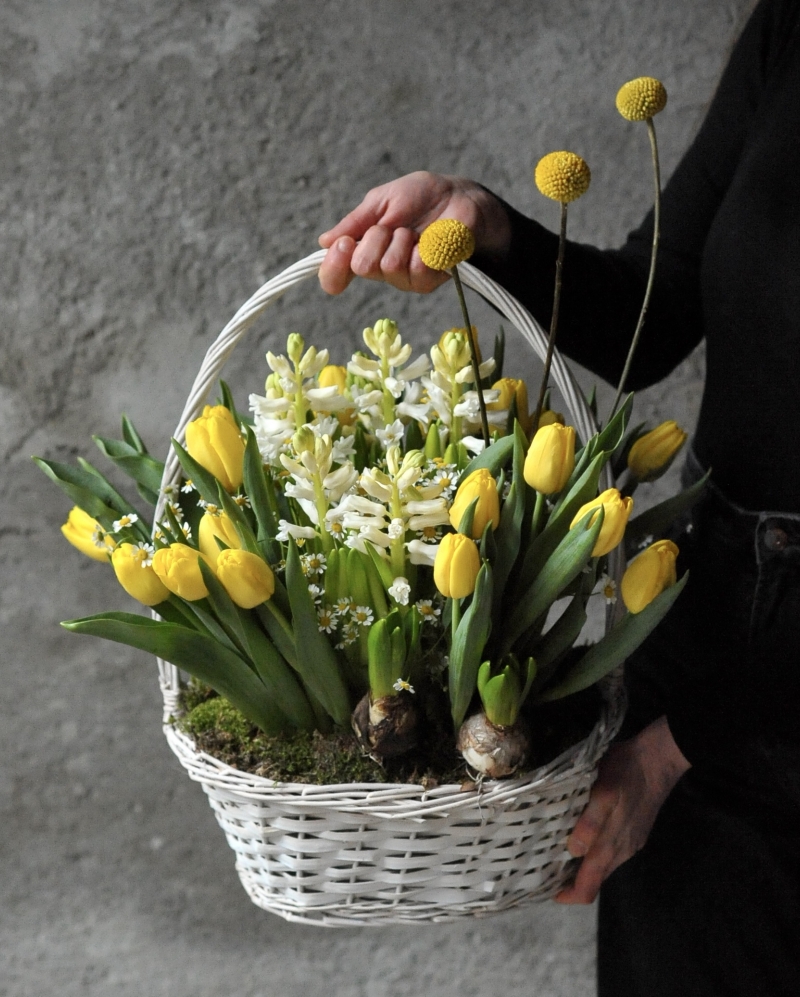 Aranjament Soare de martie