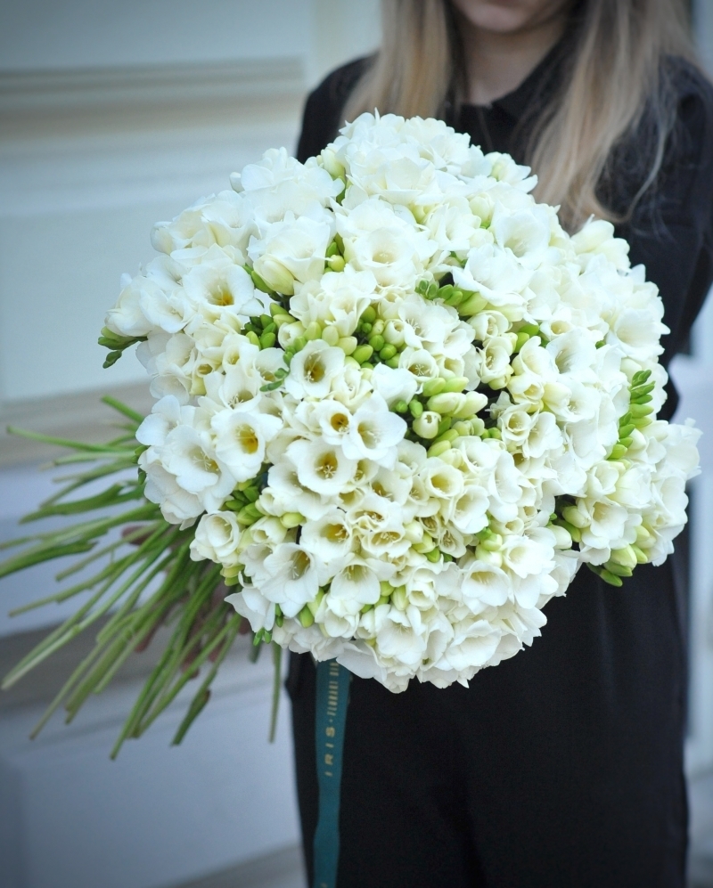 Bouquet 101 white freesias