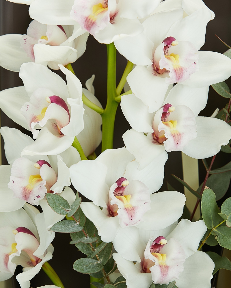 Bouquet White Orchid