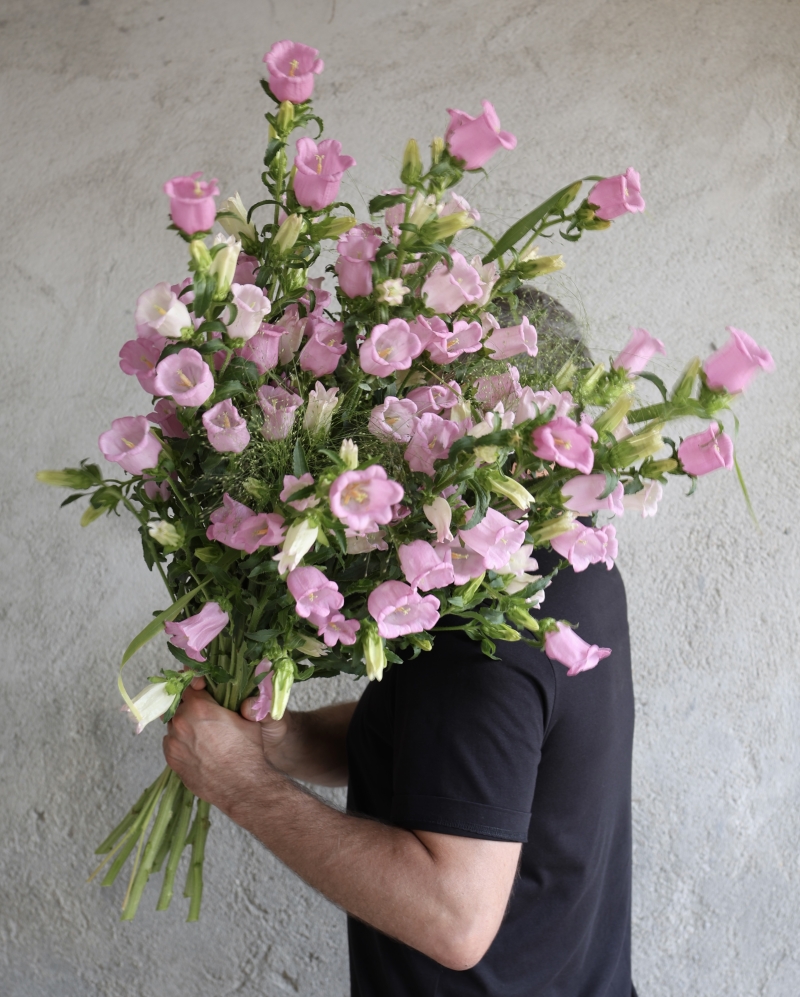 Buchet Roz salbatic
