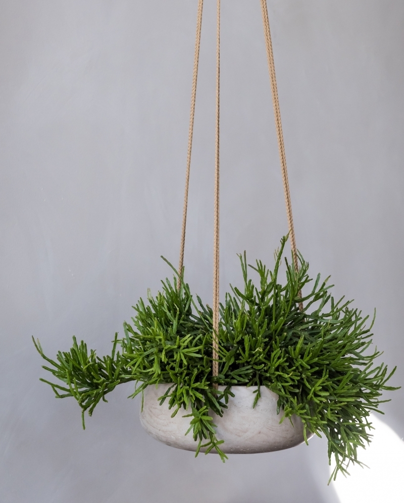 Eileen M (hanging) Grey Washed ∅29 ↑11