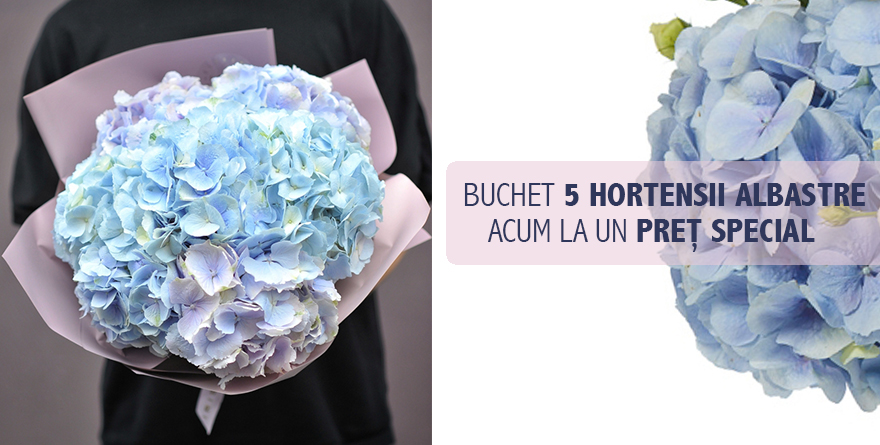 Banner hortensii blue
