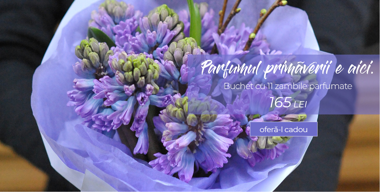 Buchet cu 11 zambile albe parfumate 
